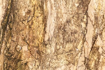 Granite stone texture. Stone texture on brown marble tone texture and background seamless