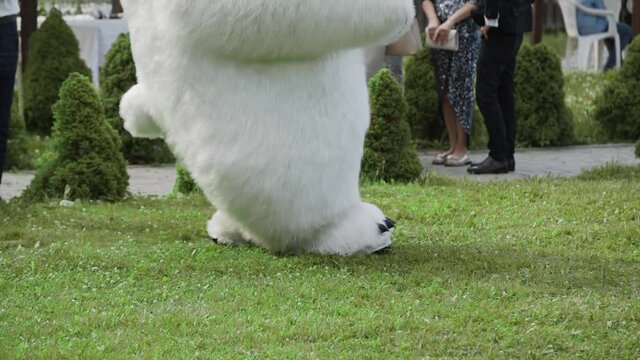 Paws of suit of fluffy white polar bear with black claws walk past people on green grass.