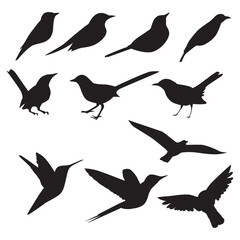 Vector Collection of Bird Silhouettes