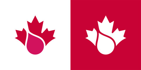 Maple Leaf Logo. Canada leaves Vector Icon. Water Drop Symbol Illustration.