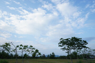 Obraz premium 自然