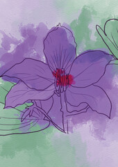 Watercolor Illustrated princess flower (or tibouchina urvilleana) 