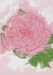 Watercolor Illustrated Pink Camellia Flower