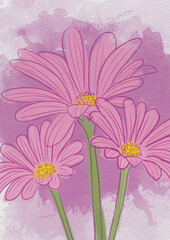 Watercolor hand drawn pink bouquet of daisy flowers
