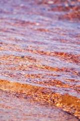 Soft wave of the sea on the sandy beach.