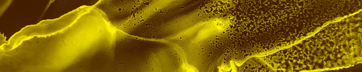 Obraz premium Metallic Watercolor. Liquid Gold. Holiday