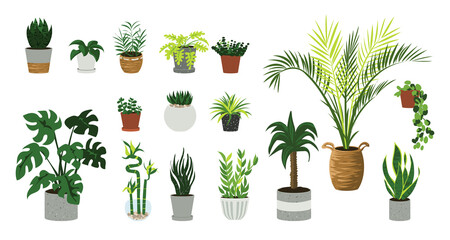 Houseplants. Cartoon home and office cozy plants in flowerpots. Decorative palm, bamboo or ficus in pots. Isolated interior elements with foliage and leaves. Vector indoor flowers set