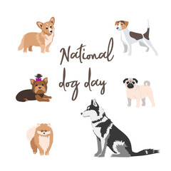 A banner for the celebration of the National Dog Day on August 26. Vector flat illustration. Purebred cute dogs pose in isolation on a white background
