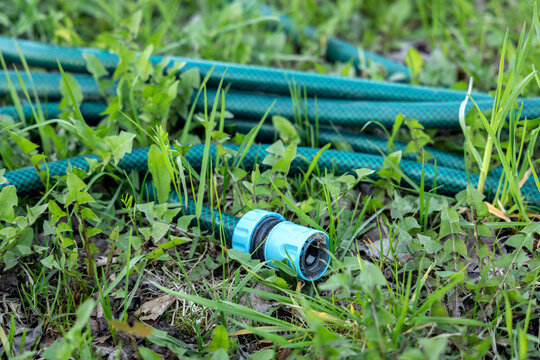 Green garden hose with fixture lying on the grass
