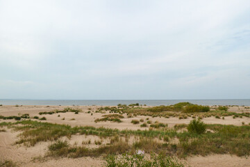 The coastal line of a sandy beach by the Baltic Sea on Sobieszewo Island, Poland, overgrown with high grass and bushes. A small pond next to the shore.The sea is gently waving. A bit of overcast.