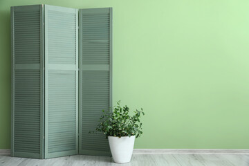 Modern folding screen and houseplant near color wall