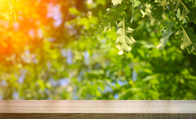 Table wood background in forest. Background of a blurred green summer forest with sunlight