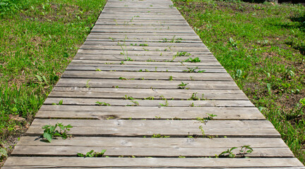 Wooden walkway. Sidewalk made of boards. The track in perspective. Grass and path.