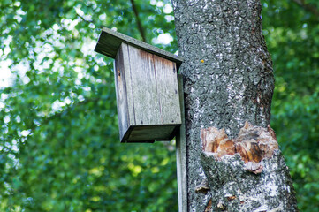 bird house on tree