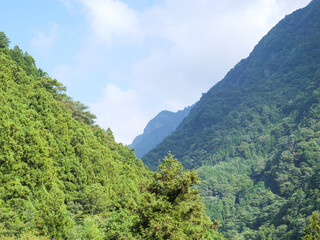 Fototapeta na wymiar 石鎚のロープウェーから見える山間の景色