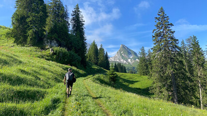 Fototapeta na wymiar Schweiz Churfirsten Appenzellerland