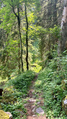 Schweiz Churfirsten Appenzellerland