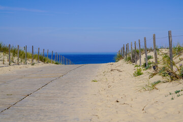 Fototapeta na wymiar sandy wooden path access beach on a sunny day with blue sky and waves in lacanau Atlantic coast in france