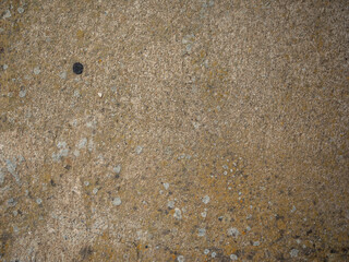 old wall texture
