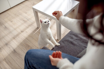 Cute young woman feeding her cat and feeling peaceful