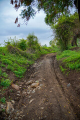 Road in the agriculture field. rural street
