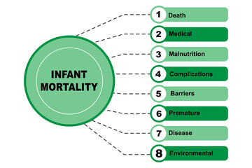 Diagram concept with Infant Mortality text and keywords. EPS 10 isolated on white background