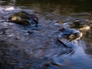  Smooth Fast water