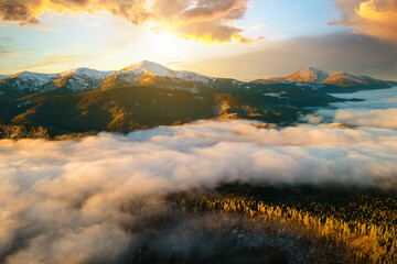 Aerial view of vibrant sunrise over Carpathian mountain hills covered with evergreen spruce forest in autumn.