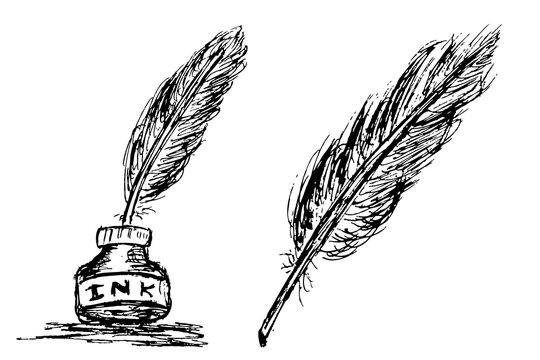Simple Vector hand draw sketch of black feather and ink in the bottle