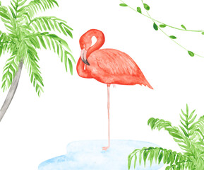 Watercolor flamingo, palms, and lianas on a white background. Hand-drawn pink tropical bird clipart. Single exotic animal on one leg in the water for your design. Colorful beautiful print.