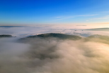 Aerial view of winter landscape with dark bare forest trees covered with dense fog.