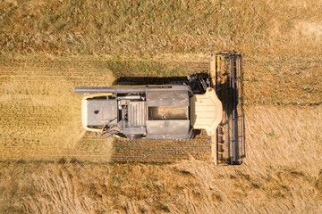 Aerial view of combine harvester harvesting large ripe wheat field. Agriculture from drone view.