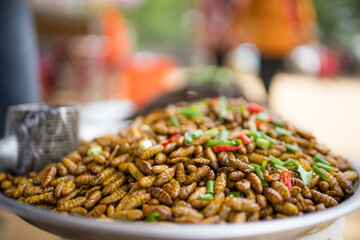 Cambodia Street Food - Fried Silkworm