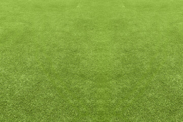 Green grass texture