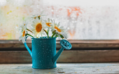 Decorative watering can vase with wildflowers white daisies on the village wet window in the drops...