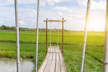 Fototapeta premium A swing hanging on the edge of the field with the sun in the background