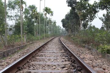 Obraz premium Railway in the forest
