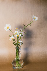 Bouquet of daisy flower in a glass vase. Chamomile flowers on beige background. Modern, boho style still life with copy space. 