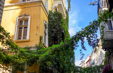 Fototapeta na wymiar Old buildings with climbing plants in Istanbul, Turkey.