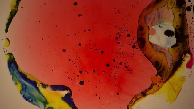 Droplets of dark ink swirl around in a multicolored "liquid light" projection.