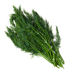 Bunch of fresh dill isolated on white