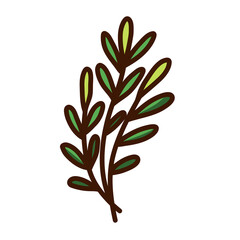 beauty branch curve leaf tree vector illustration icon design template with doodle hand drawn style