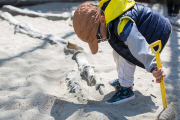 Boy playing paleontologist, revealing dinosaur fossil with rake  