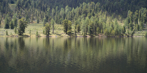 Calm mountain lake and trees on the shore. Summer landscape