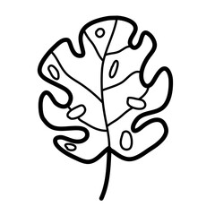 single tropic botanical plant leaf with holes vector illustration icon design template with doodle hand drawn outline style