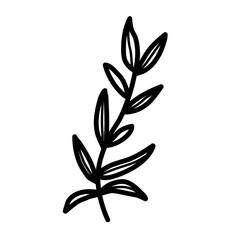 simple beauty leaf vector illustration icon design template with doodle hand drawn outline style