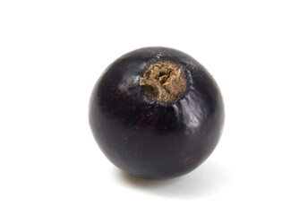 Black currant close up isolated on white background.