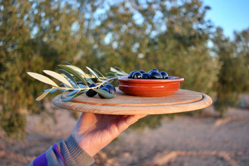 woman's hand pouring olive oil from a jug over a bowl of black olives