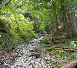 Wanderung am Wendelstein: Durchs Jenbachtal (nahe Schlossalm)