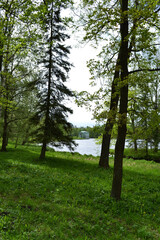 Obraz premium Beautiful lake in the forest, natural nature background